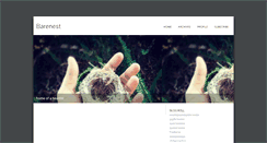 Desktop Screenshot of barenest.typepad.com