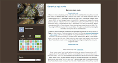 Desktop Screenshot of berenicebejo.typepad.com