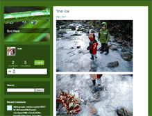 Tablet Screenshot of birdnest.typepad.com