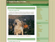 Tablet Screenshot of goldendoodle.typepad.com