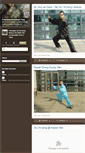 Mobile Screenshot of freestyletaichiqong.typepad.com