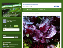 Tablet Screenshot of christianlund.typepad.com