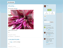 Tablet Screenshot of hortensia.typepad.com