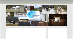 Desktop Screenshot of ecurie-ambillou.typepad.com