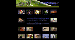 Desktop Screenshot of livingworldphotography.typepad.com