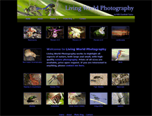 Tablet Screenshot of livingworldphotography.typepad.com
