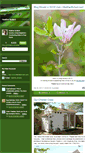 Mobile Screenshot of heatherbullard.typepad.com