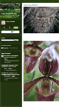 Mobile Screenshot of foodassassin.typepad.com