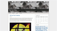 Desktop Screenshot of onetruething.typepad.com
