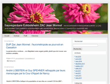 Tablet Screenshot of eckbolsheim.typepad.com