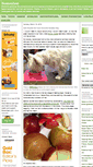Mobile Screenshot of bostonzest.typepad.com