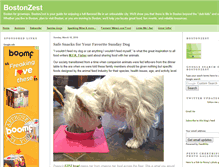 Tablet Screenshot of bostonzest.typepad.com