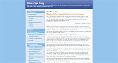 Desktop Screenshot of bluecap.typepad.com