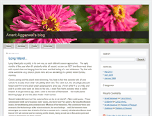 Tablet Screenshot of anantaggarwal.typepad.com