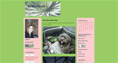 Desktop Screenshot of knitaholic.typepad.com