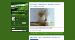 Desktop Screenshot of expertssayyoucandothis.typepad.com