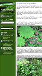Mobile Screenshot of northcountrygardener.typepad.com
