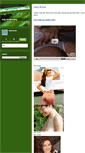 Mobile Screenshot of kellybrookrenew.typepad.com