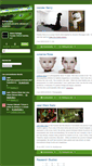 Mobile Screenshot of linktocolors.typepad.com