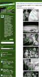 Mobile Screenshot of amandaevery.typepad.com