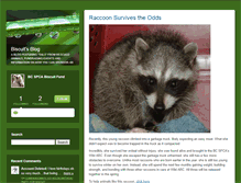 Tablet Screenshot of biscuitsblog.typepad.com