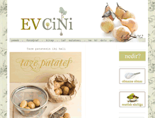Tablet Screenshot of evcini.typepad.com