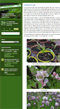 Mobile Screenshot of organicallotment.typepad.com