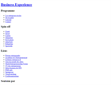 Tablet Screenshot of businessexperience.typepad.com