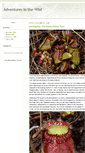 Mobile Screenshot of jungletrekker.typepad.com