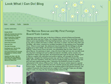 Tablet Screenshot of lookwhaticandodogtraining.typepad.com