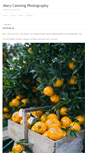 Mobile Screenshot of marycanningphotography.typepad.com