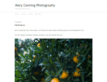 Tablet Screenshot of marycanningphotography.typepad.com
