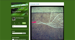 Desktop Screenshot of foxinthewoods.typepad.com
