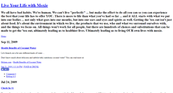 Desktop Screenshot of detoxmoxie.typepad.com