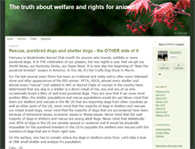Tablet Screenshot of animaltruth.typepad.com