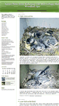Mobile Screenshot of marshtit.typepad.com