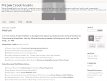 Tablet Screenshot of mazoncreekfossils.typepad.com