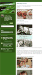 Mobile Screenshot of memoriesinbloom.typepad.com