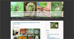 Desktop Screenshot of blazingstarherbalschool.typepad.com