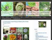 Tablet Screenshot of blazingstarherbalschool.typepad.com