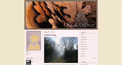 Desktop Screenshot of olliolliver.typepad.com