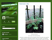 Tablet Screenshot of peabrain.typepad.com