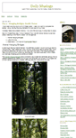 Mobile Screenshot of kadacat.typepad.com