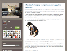 Tablet Screenshot of animalfun.typepad.com