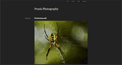Desktop Screenshot of praxisphotography.typepad.com