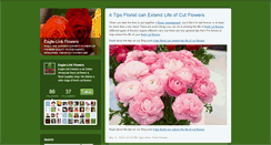 Desktop Screenshot of eaglelinkflowers.typepad.com