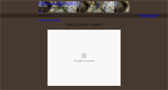 Desktop Screenshot of pameladavidplayboy2.typepad.com